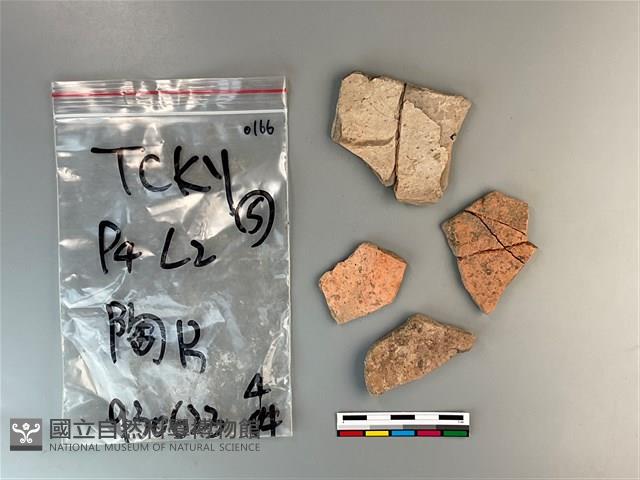 陶片藏品圖，第1張