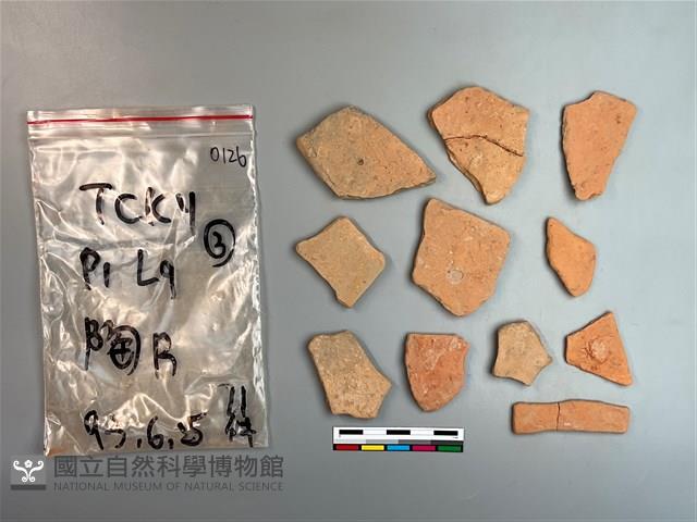 陶片藏品圖，第1張