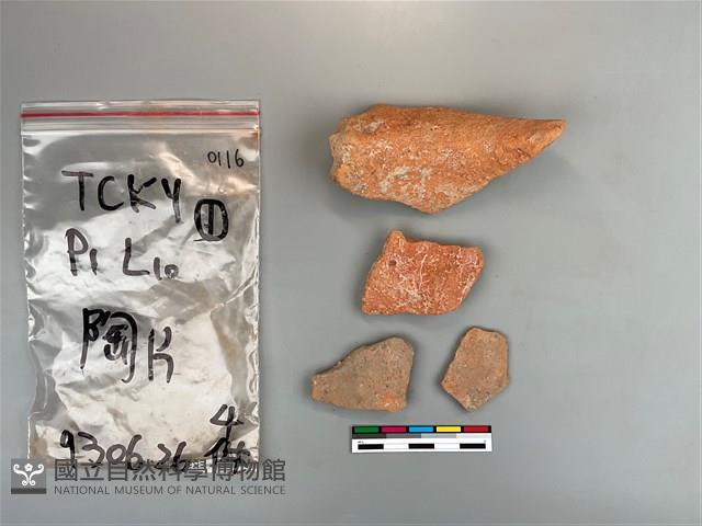 陶片藏品圖，第3張