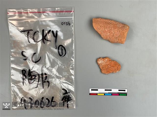 陶片藏品圖，第1張