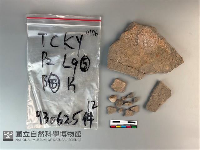 陶片藏品圖，第1張