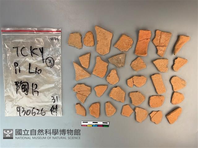 陶片藏品圖，第1張