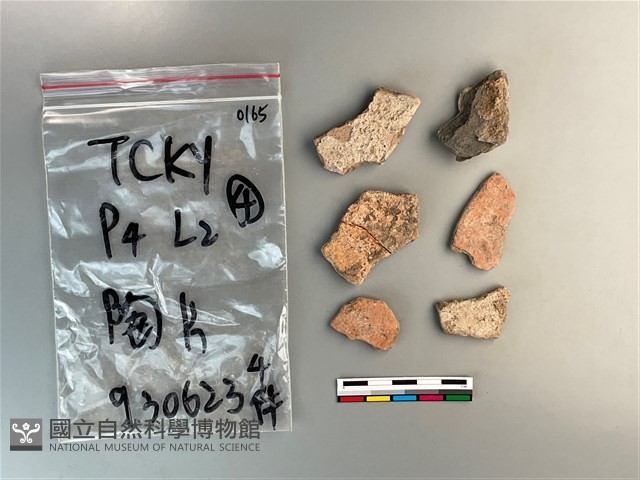 陶片藏品圖，第1張