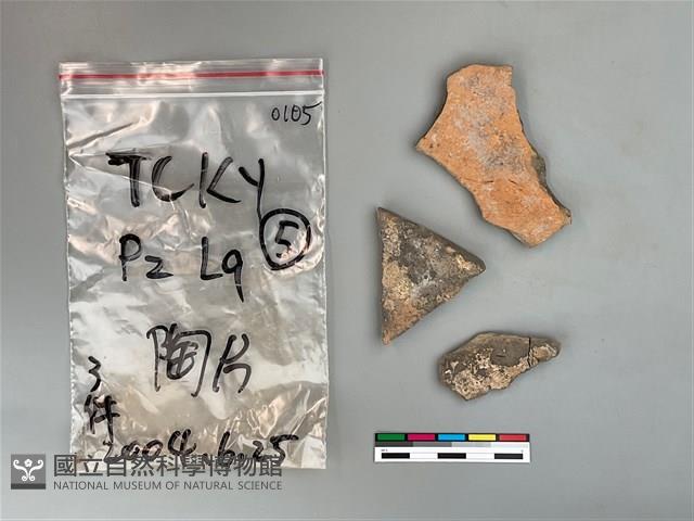 陶片藏品圖，第1張