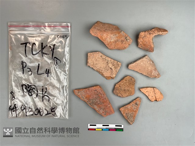 陶片藏品圖，第1張