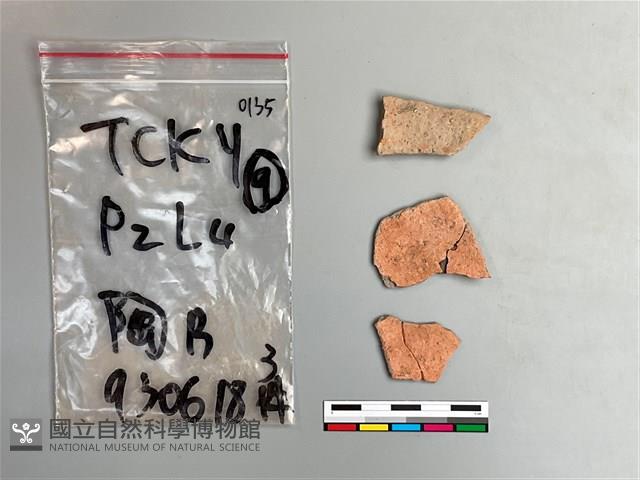 陶片藏品圖，第1張