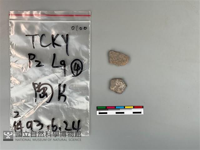 陶片藏品圖，第1張