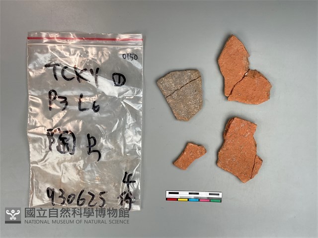 陶片藏品圖，第1張