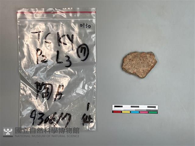 陶片藏品圖，第1張