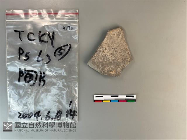 陶片藏品圖，第1張