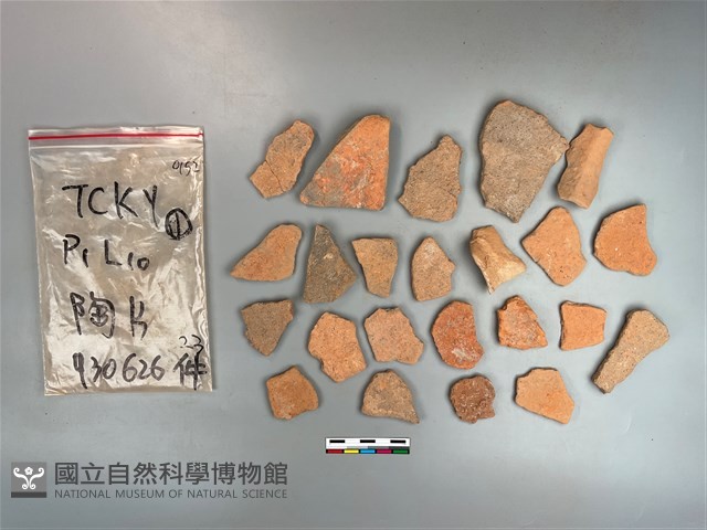 陶片藏品圖，第1張