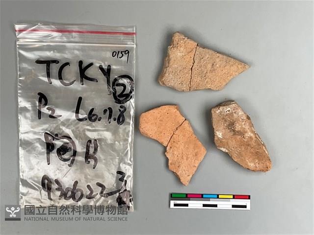 陶片藏品圖，第1張