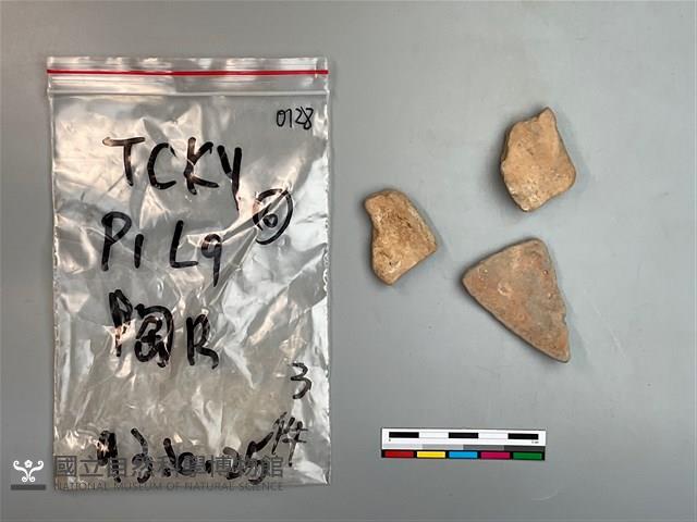 陶片藏品圖，第1張