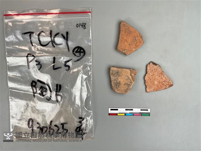 陶片藏品圖，第1張