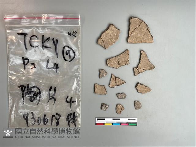 陶片藏品圖，第1張