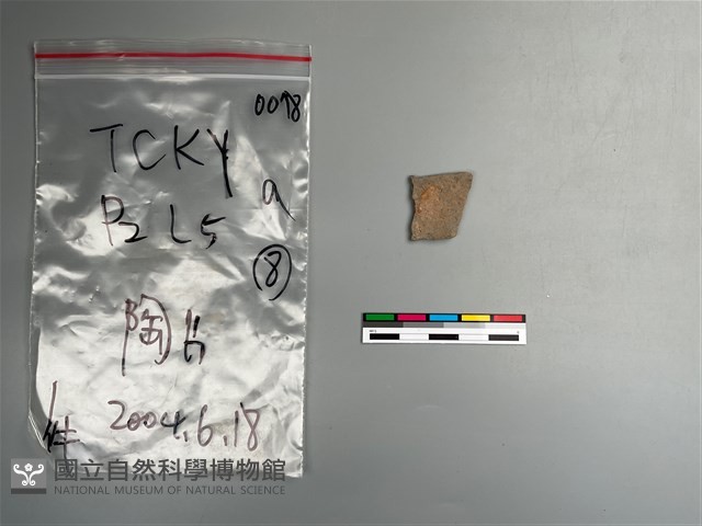 陶片藏品圖，第1張
