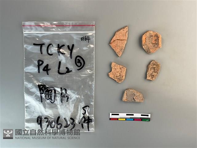 陶片藏品圖，第1張