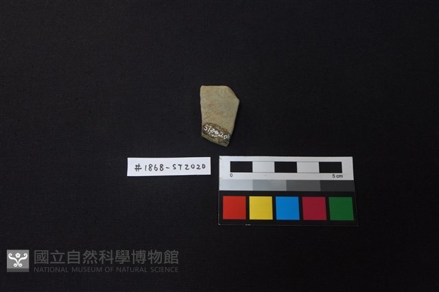 陶片藏品圖，第2張