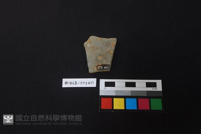 陶片藏品圖，第2張