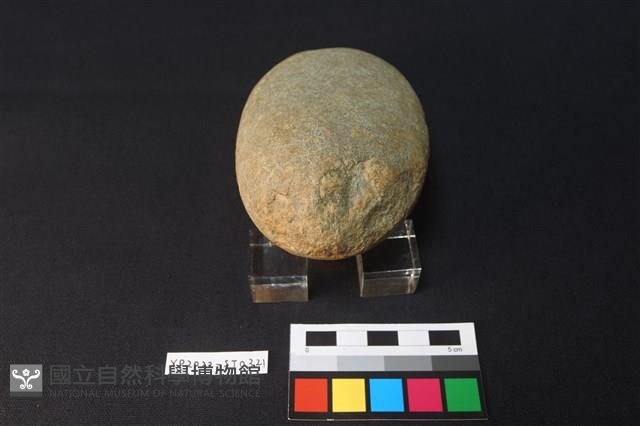 石錘藏品圖，第2張