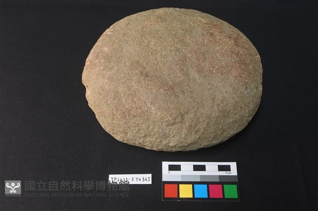 石蓋未成品藏品圖，第2張