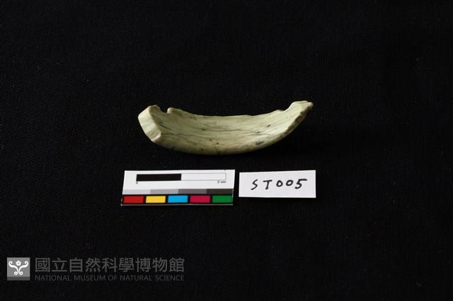 玉環藏品圖，第2張