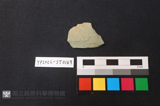 磨製石器殘件藏品圖，第2張