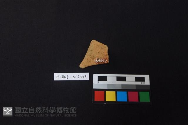 陶片藏品圖，第2張