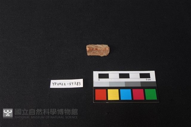不明石器藏品圖，第2張