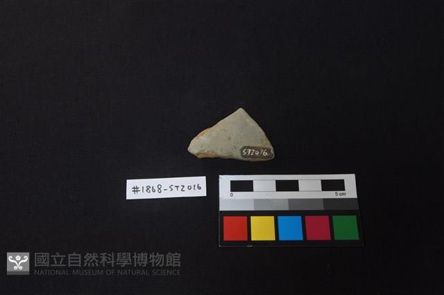 陶片藏品圖，第2張