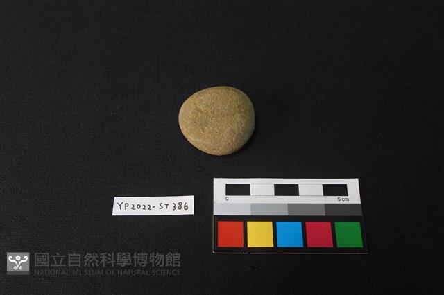 Accession Number:YP2022-ST386 Collection Image, Figure 2, Total 2 Figures