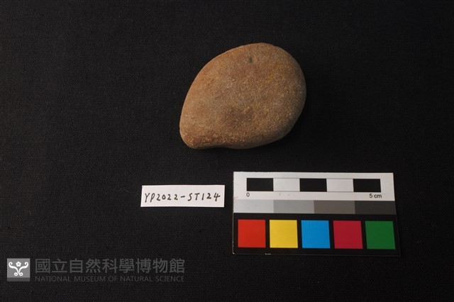 石錘藏品圖，第2張