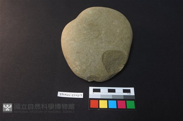 石錘藏品圖，第2張