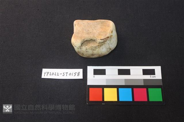 磨製石器殘件藏品圖，第2張