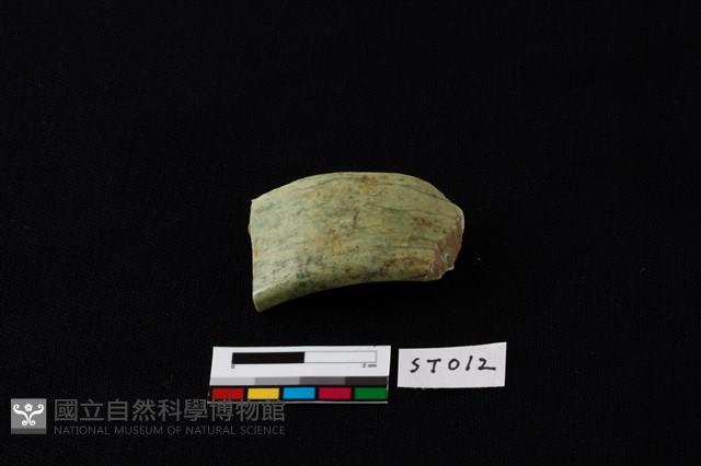 玉環藏品圖，第4張