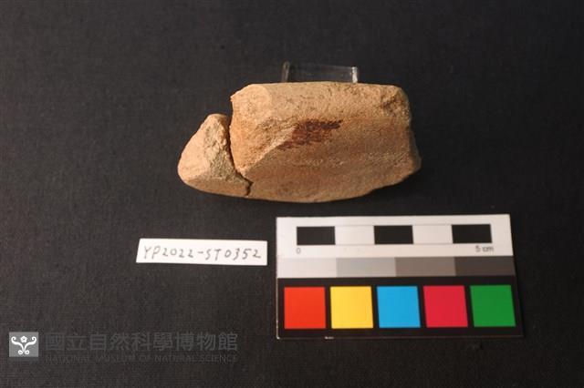 磨石藏品圖，第4張