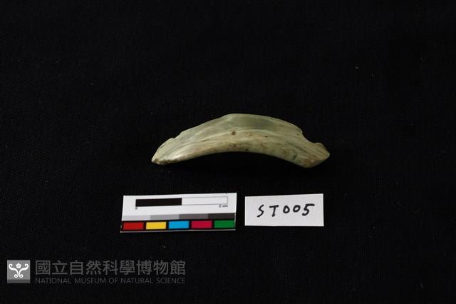 玉環藏品圖，第4張