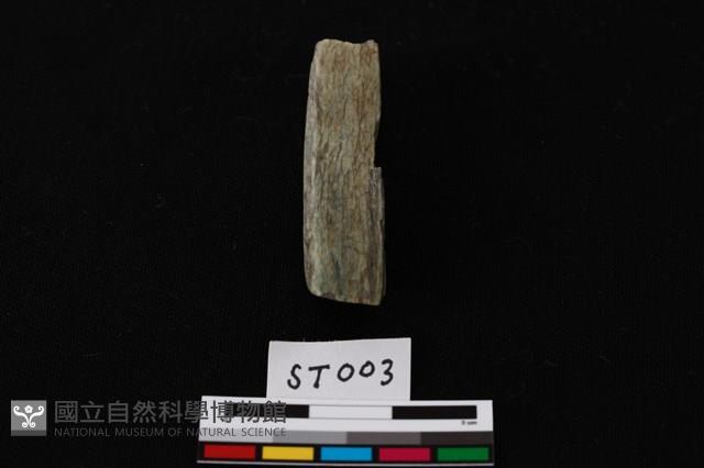 玉錛藏品圖，第4張