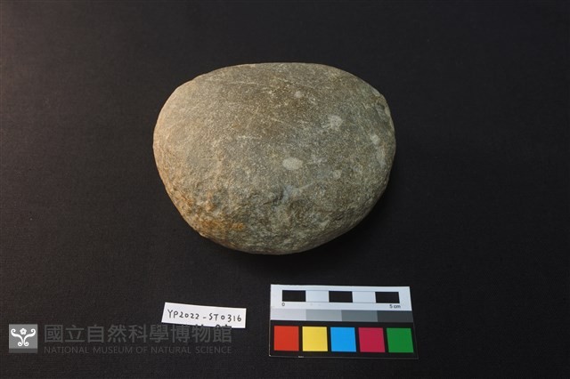 石錘藏品圖，第4張