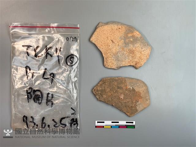 陶片藏品圖，第2張