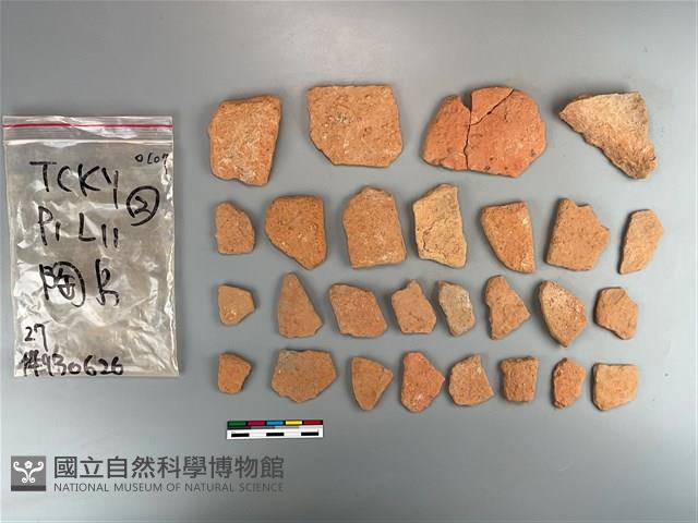 陶片藏品圖，第2張