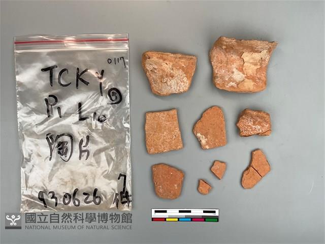 陶片藏品圖，第2張