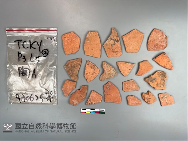 陶片藏品圖，第2張