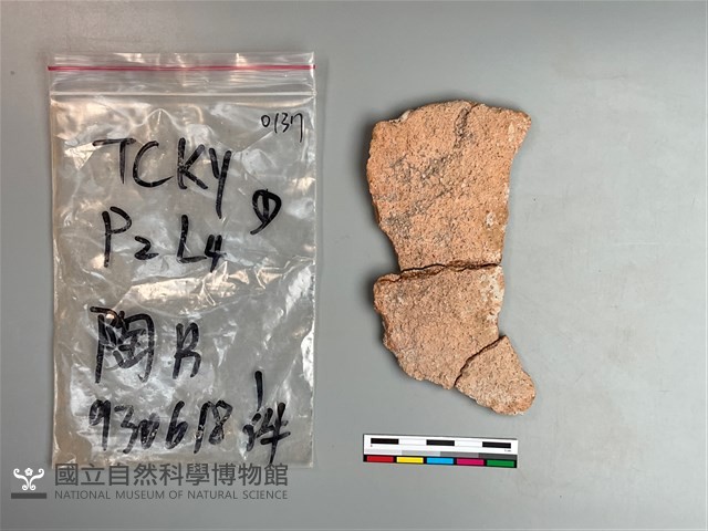 陶片藏品圖，第2張