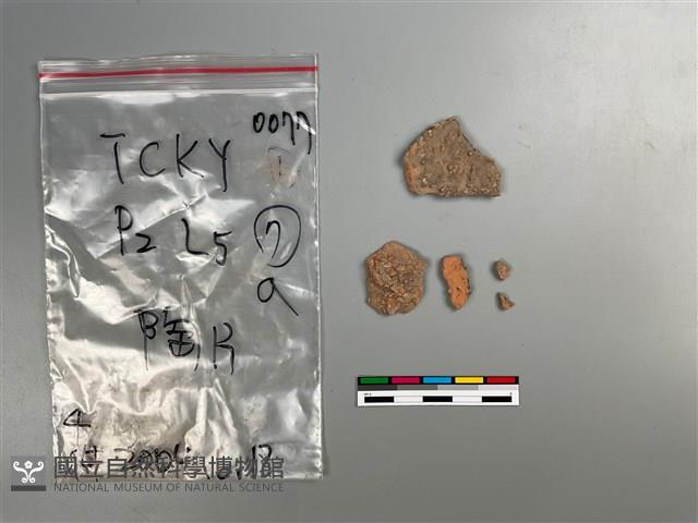 陶片藏品圖，第2張