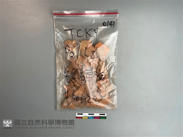 陶片藏品圖，第1張