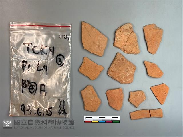 陶片藏品圖，第2張