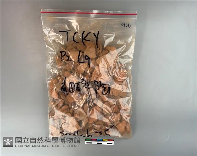 陶片藏品圖，第1張