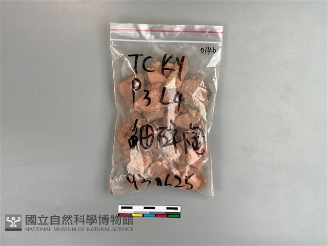 陶片藏品圖，第1張