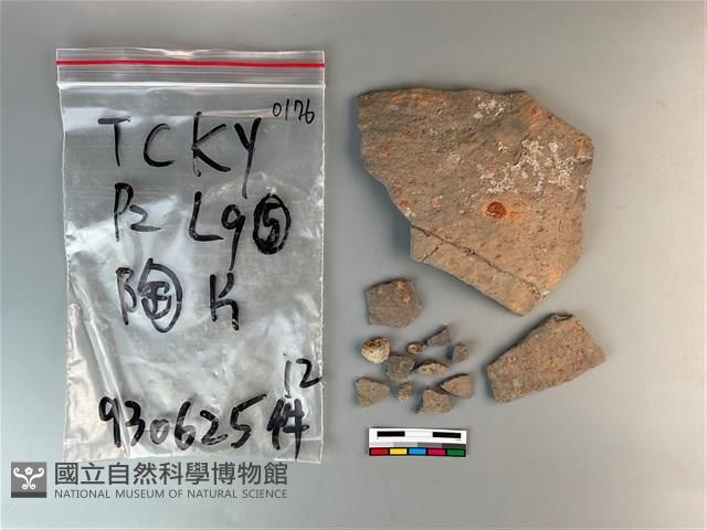 陶片藏品圖，第2張